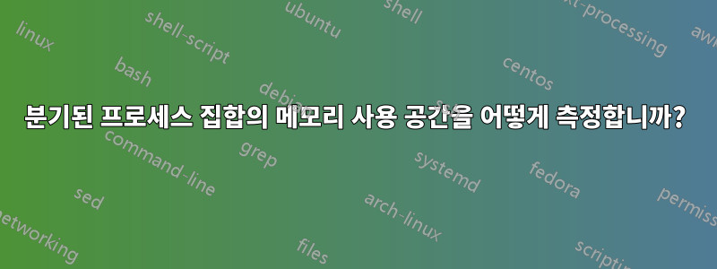 분기된 프로세스 집합의 메모리 사용 공간을 어떻게 측정합니까?