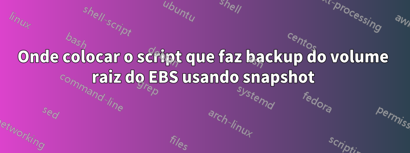 Onde colocar o script que faz backup do volume raiz do EBS usando snapshot