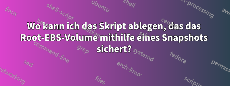 Wo kann ich das Skript ablegen, das das Root-EBS-Volume mithilfe eines Snapshots sichert?
