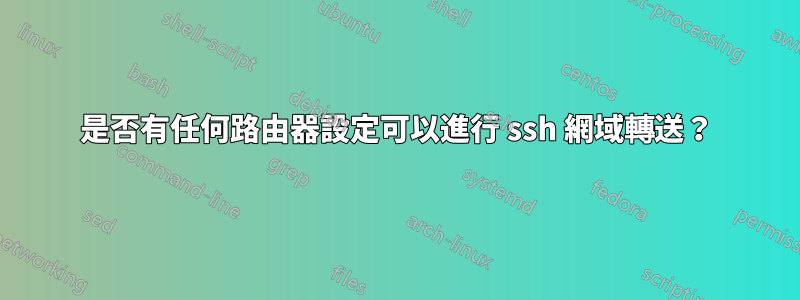 是否有任何路由器設定可以進行 ssh 網域轉送？