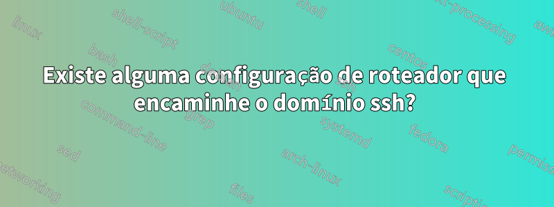 Existe alguma configuração de roteador que encaminhe o domínio ssh?