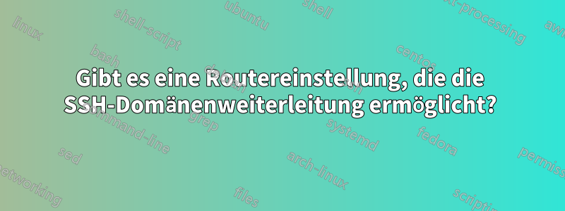 Gibt es eine Routereinstellung, die die SSH-Domänenweiterleitung ermöglicht?