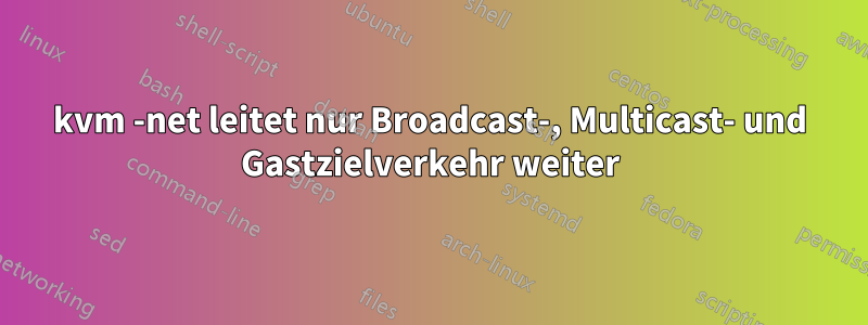 kvm -net leitet nur Broadcast-, Multicast- und Gastzielverkehr weiter