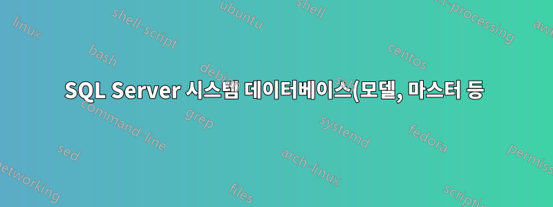 SQL Server 시스템 데이터베이스(모델, 마스터 등) 복원의 중요성은 무엇입니까?