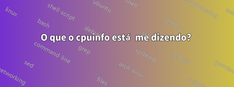 O que o cpuinfo está me dizendo?