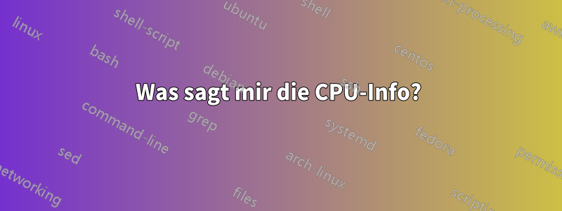Was sagt mir die CPU-Info?