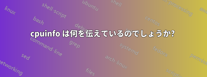 cpuinfo は何を伝えているのでしょうか?