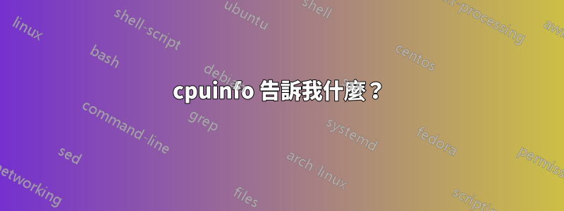 cpuinfo 告訴我什麼？