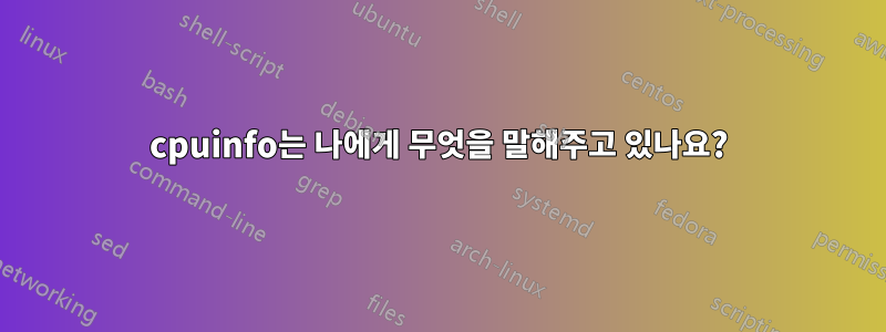 cpuinfo는 나에게 무엇을 말해주고 있나요?