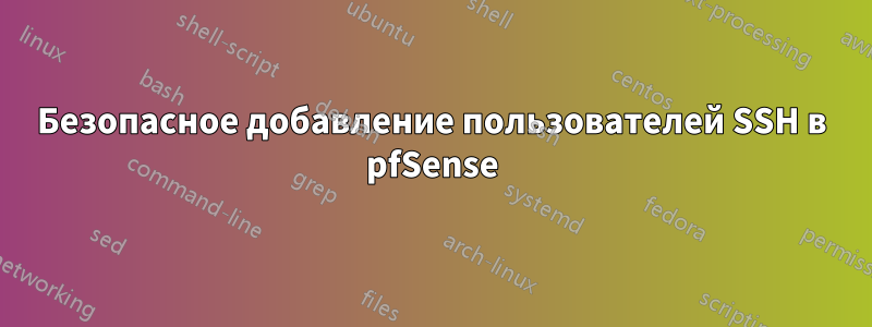 Безопасное добавление пользователей SSH в pfSense