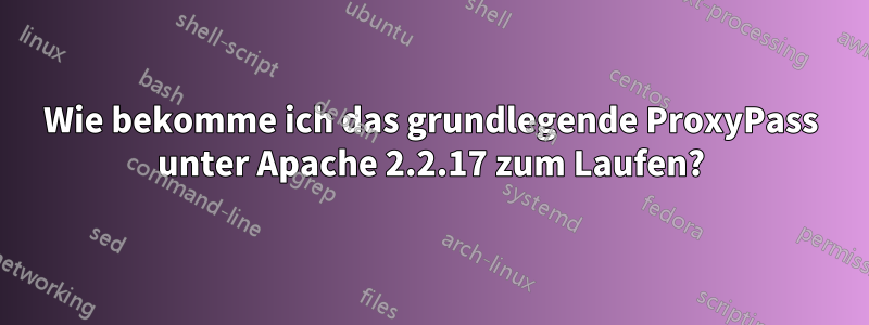 Wie bekomme ich das grundlegende ProxyPass unter Apache 2.2.17 zum Laufen?
