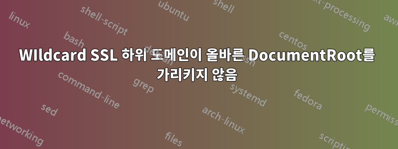WIldcard SSL 하위 도메인이 올바른 DocumentRoot를 가리키지 않음