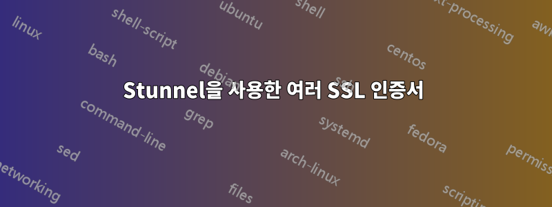 Stunnel을 사용한 여러 SSL 인증서