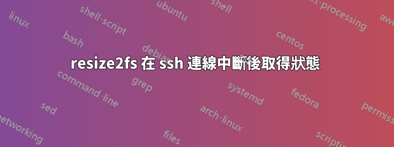 resize2fs 在 ssh 連線中斷後取得狀態