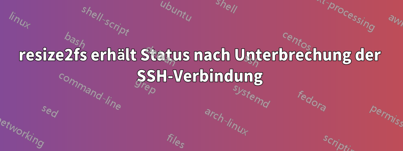 resize2fs erhält Status nach Unterbrechung der SSH-Verbindung