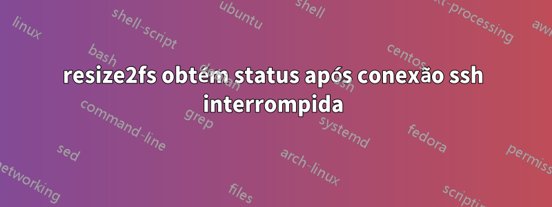 resize2fs obtém status após conexão ssh interrompida