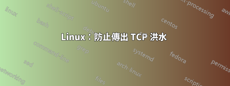 Linux：防止傳出 TCP 洪水
