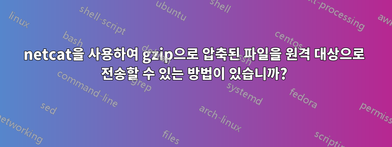 netcat을 사용하여 gzip으로 압축된 파일을 원격 대상으로 전송할 수 있는 방법이 있습니까?