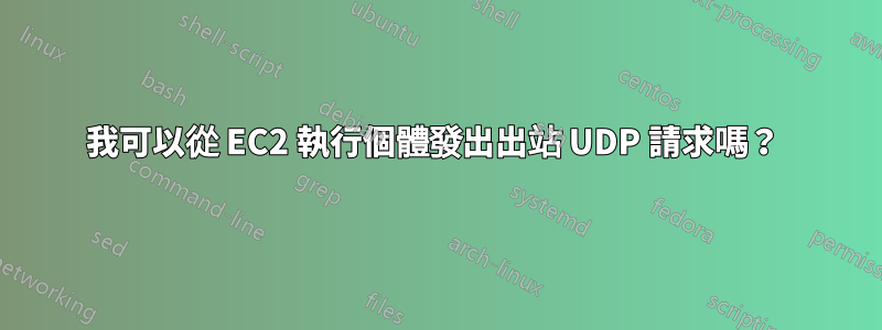 我可以從 EC2 執行個體發出出站 UDP 請求嗎？ 