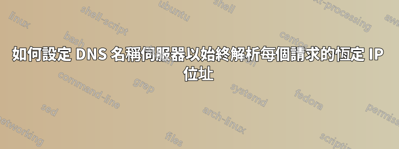 如何設定 DNS 名稱伺服器以始終解析每個請求的恆定 IP 位址