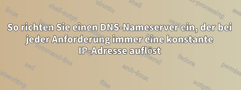 So richten Sie einen DNS-Nameserver ein, der bei jeder Anforderung immer eine konstante IP-Adresse auflöst