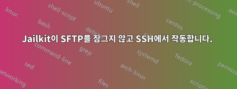 Jailkit이 SFTP를 잠그지 않고 SSH에서 작동합니다.