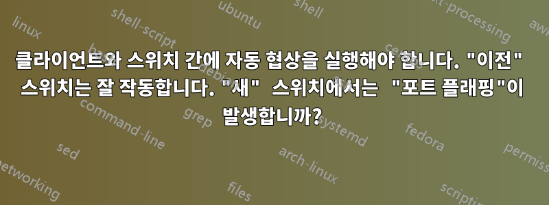 클라이언트와 스위치 간에 자동 협상을 실행해야 합니다. "이전" 스위치는 잘 작동합니다. "새" 스위치에서는 "포트 플래핑"이 발생합니까?