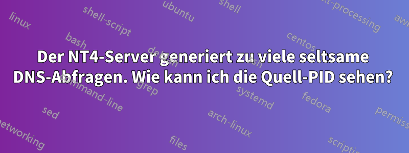 Der NT4-Server generiert zu viele seltsame DNS-Abfragen. Wie kann ich die Quell-PID sehen?