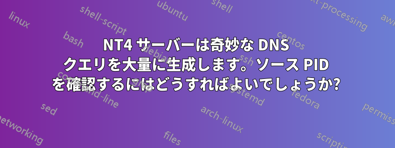 NT4 サーバーは奇妙な DNS クエリを大量に生成します。ソース PID を確認するにはどうすればよいでしょうか?