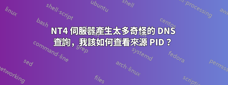 NT4 伺服器產生太多奇怪的 DNS 查詢，我該如何查看來源 PID？