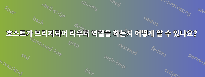 호스트가 브리지되어 라우터 역할을 하는지 어떻게 알 수 있나요?
