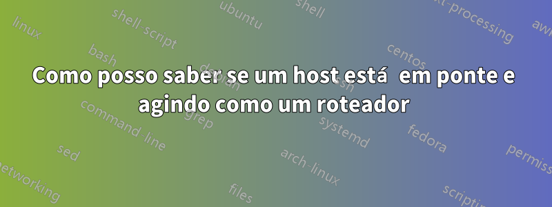 Como posso saber se um host está em ponte e agindo como um roteador