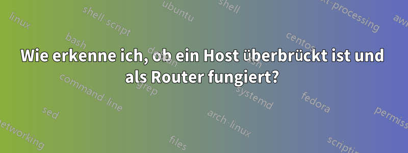 Wie erkenne ich, ob ein Host überbrückt ist und als Router fungiert?
