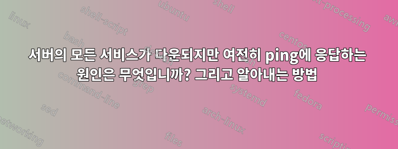 서버의 모든 서비스가 다운되지만 여전히 ping에 응답하는 원인은 무엇입니까? 그리고 알아내는 방법