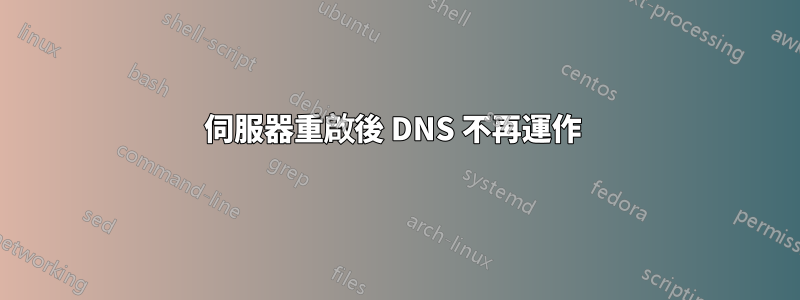 伺服器重啟後 DNS 不再運作 