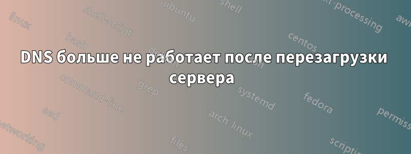 DNS больше не работает после перезагрузки сервера 