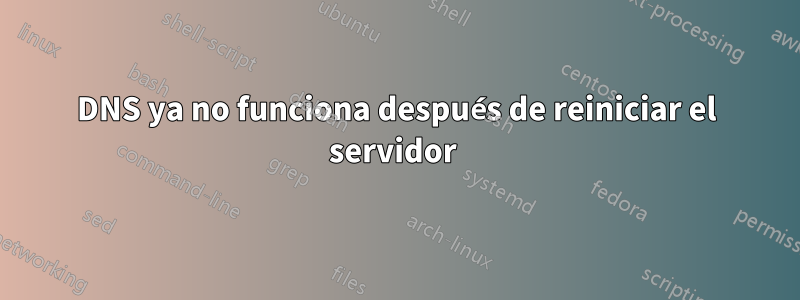 DNS ya no funciona después de reiniciar el servidor 