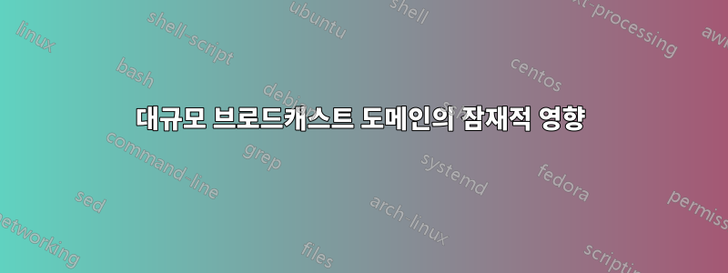 대규모 브로드캐스트 도메인의 잠재적 영향