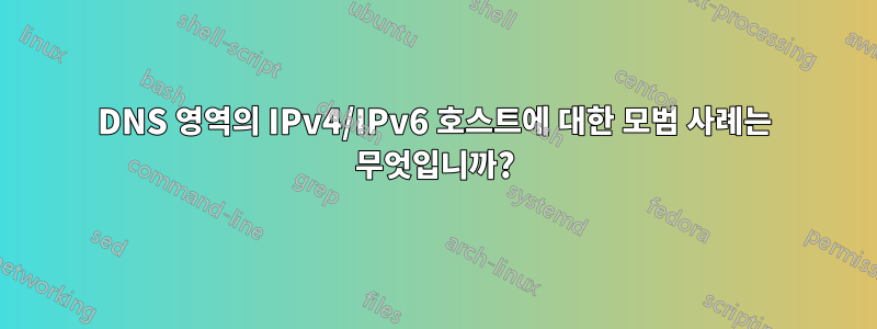 DNS 영역의 IPv4/IPv6 호스트에 대한 모범 사례는 무엇입니까?
