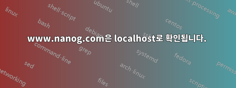 www.nanog.com은 localhost로 확인됩니다.