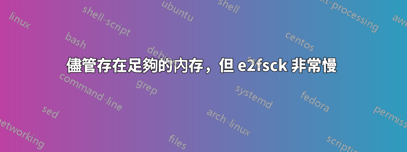 儘管存在足夠的內存，但 e2fsck 非常慢