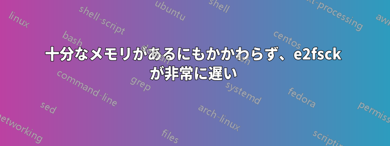 十分なメモリがあるにもかかわらず、e2fsck が非常に遅い