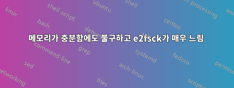 메모리가 충분함에도 불구하고 e2fsck가 매우 느림
