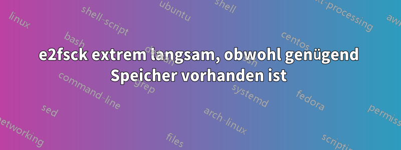 e2fsck extrem langsam, obwohl genügend Speicher vorhanden ist
