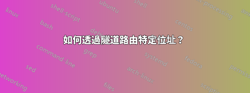 如何透過隧道路由特定位址？