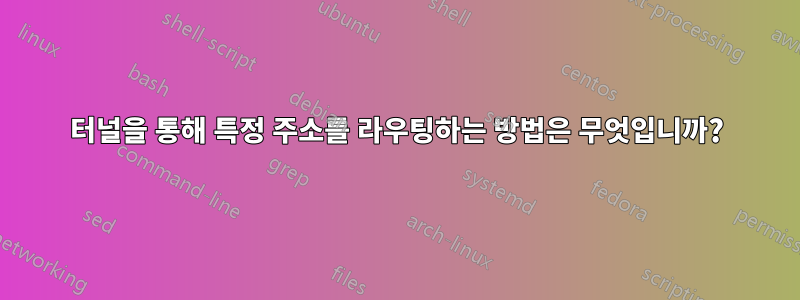 터널을 통해 특정 주소를 라우팅하는 방법은 무엇입니까?