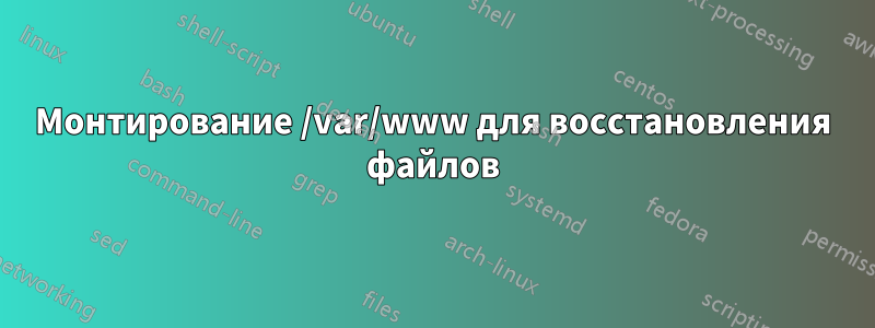 Монтирование /var/www для восстановления файлов