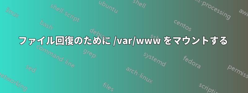 ファイル回復のために /var/www をマウントする