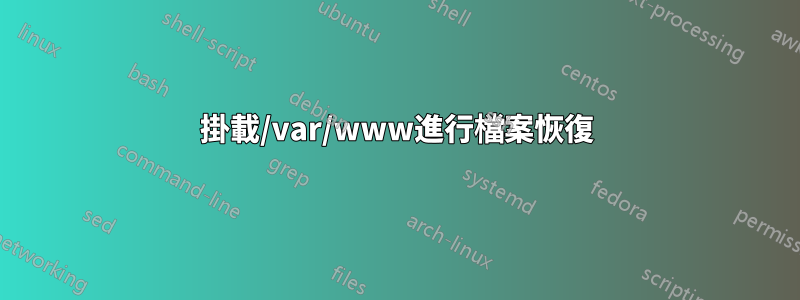 掛載/var/www進行檔案恢復