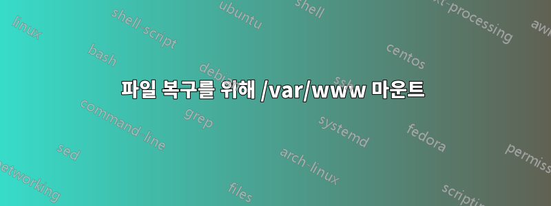 파일 복구를 위해 /var/www 마운트